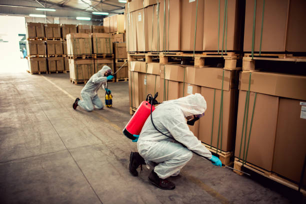 Best Rat Extermination Near Me  in Montgomery, PA
