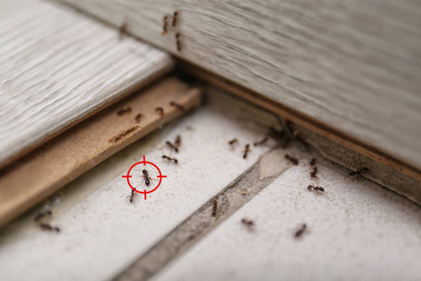  Montgomery, PA Pest Control Pros