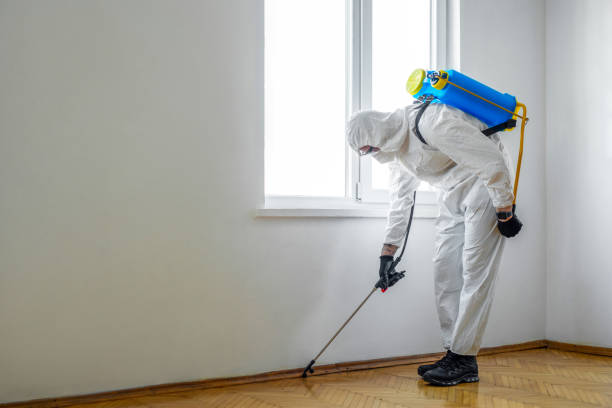 Best Residential Pest Control  in Montgomery, PA