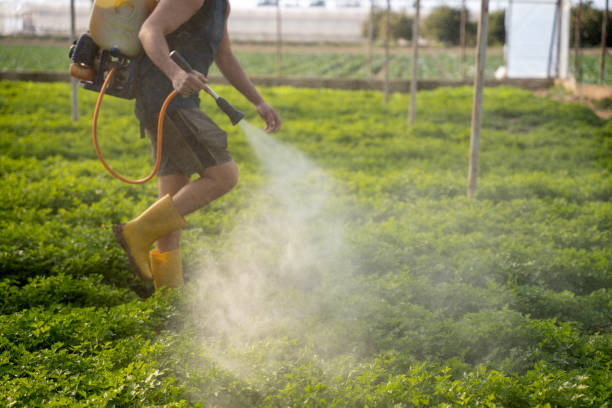 Best Ant Control Services  in Montgomery, PA