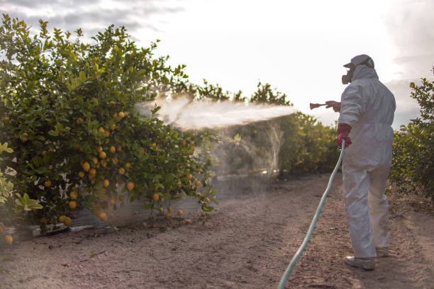 Best Pest Control for Businesses  in Montgomery, PA