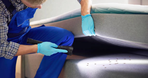 Best Rat Extermination Near Me  in Montgomery, PA