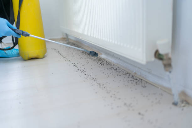 Best Exterminator Services  in Montgomery, PA