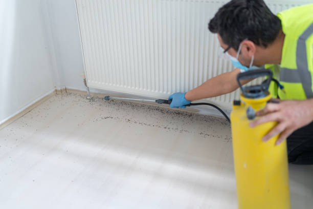 Best Mosquito Control Services  in Montgomery, PA