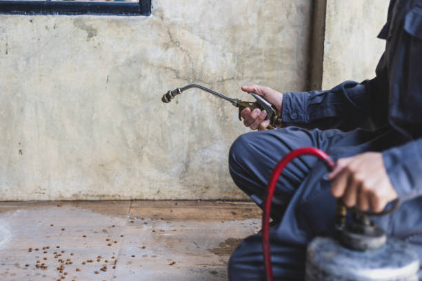 Best Flea Control Services  in Montgomery, PA