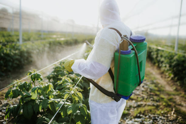 Best Local Pest Control Services  in Montgomery, PA